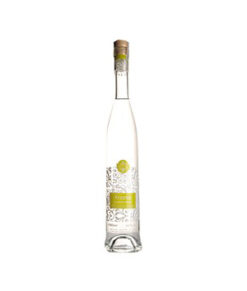 Hrozno Chardonnay 42% 0,5l (Delícia)
