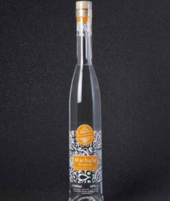 Marhuľovica Bergeron 42% 0,5l (Delícia)